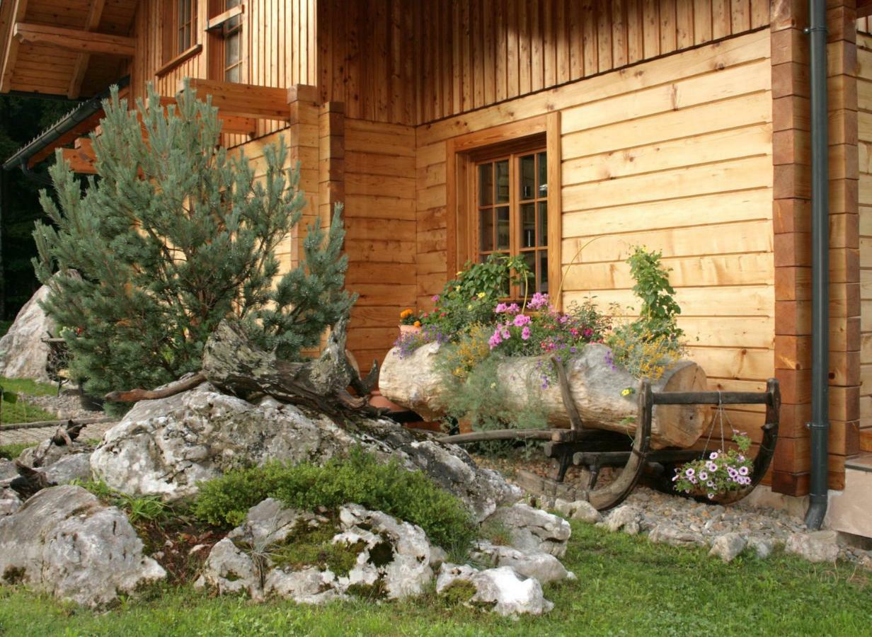 Apartment Pod Skalco Jesenice Eksteriør bilde