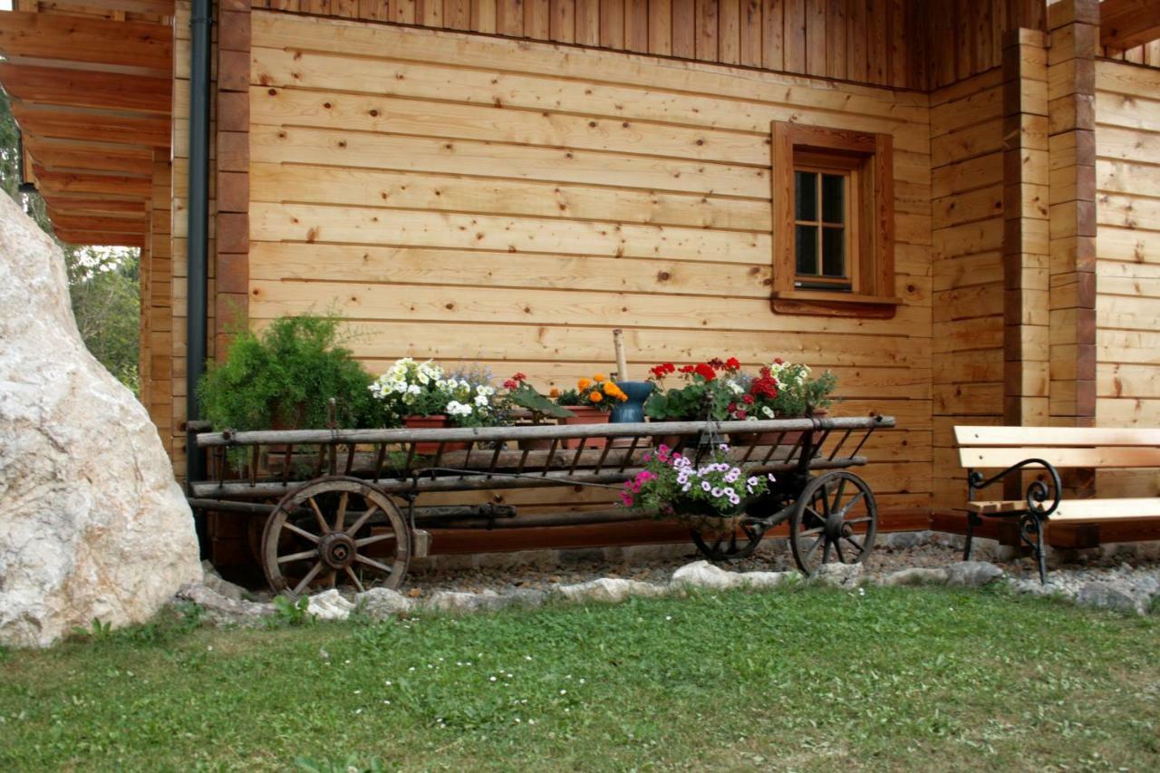 Apartment Pod Skalco Jesenice Eksteriør bilde