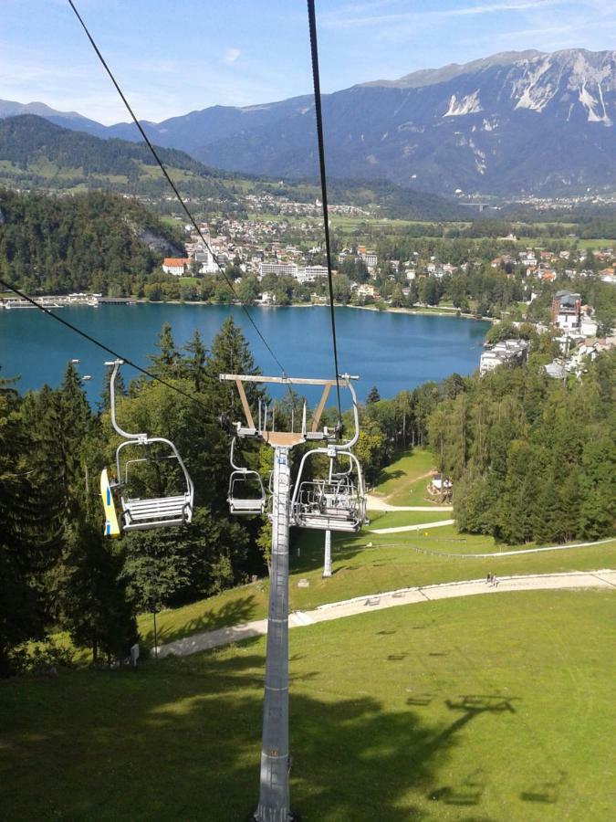 Apartment Pod Skalco Jesenice Eksteriør bilde
