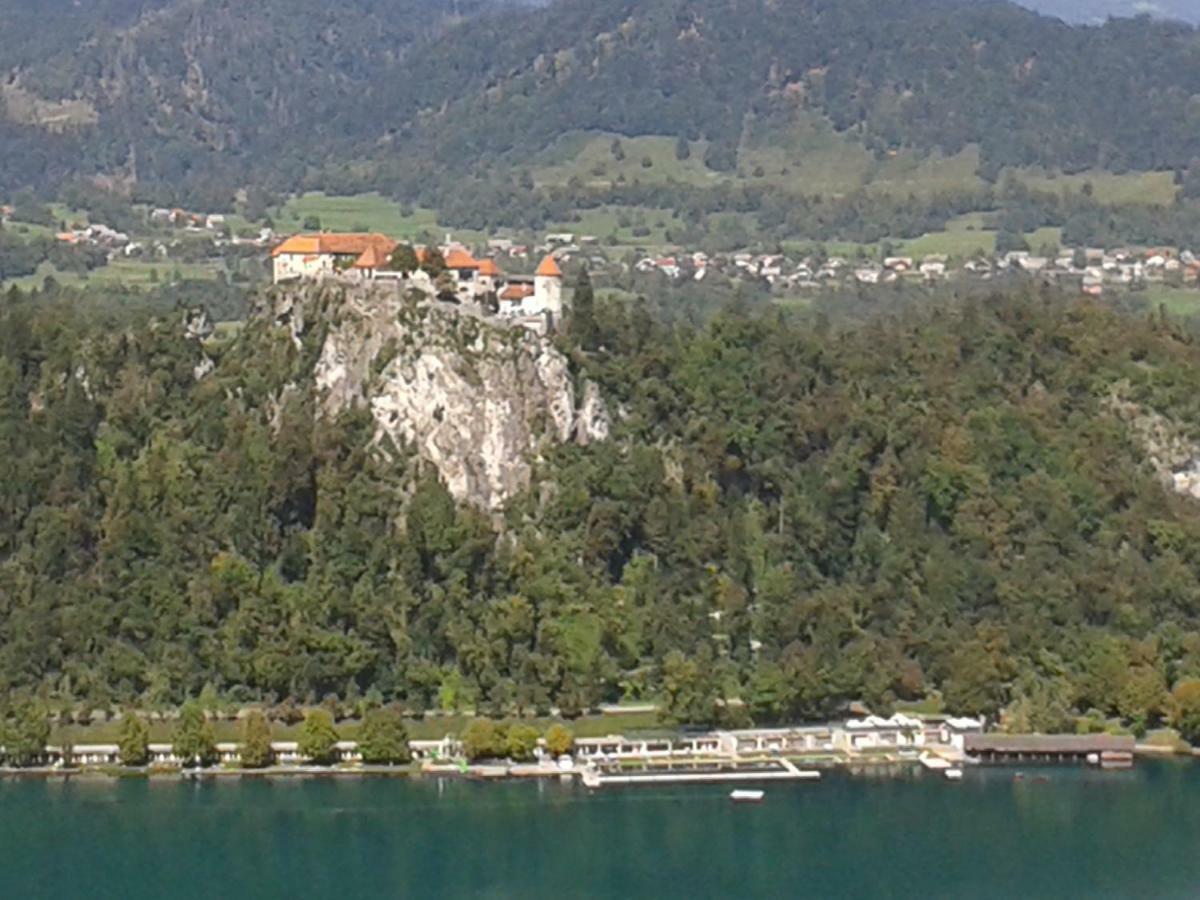 Apartment Pod Skalco Jesenice Eksteriør bilde